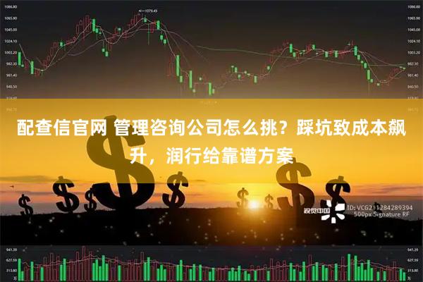 配查信官网 管理咨询公司怎么挑？踩坑致成本飙升，润行给靠谱方案