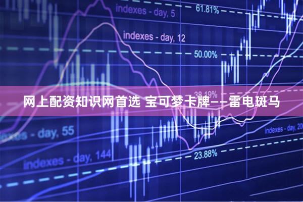 网上配资知识网首选 宝可梦卡牌——雷电斑马